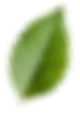 Sosyal Sorumluluk