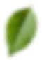 Sosyal Sorumluluk